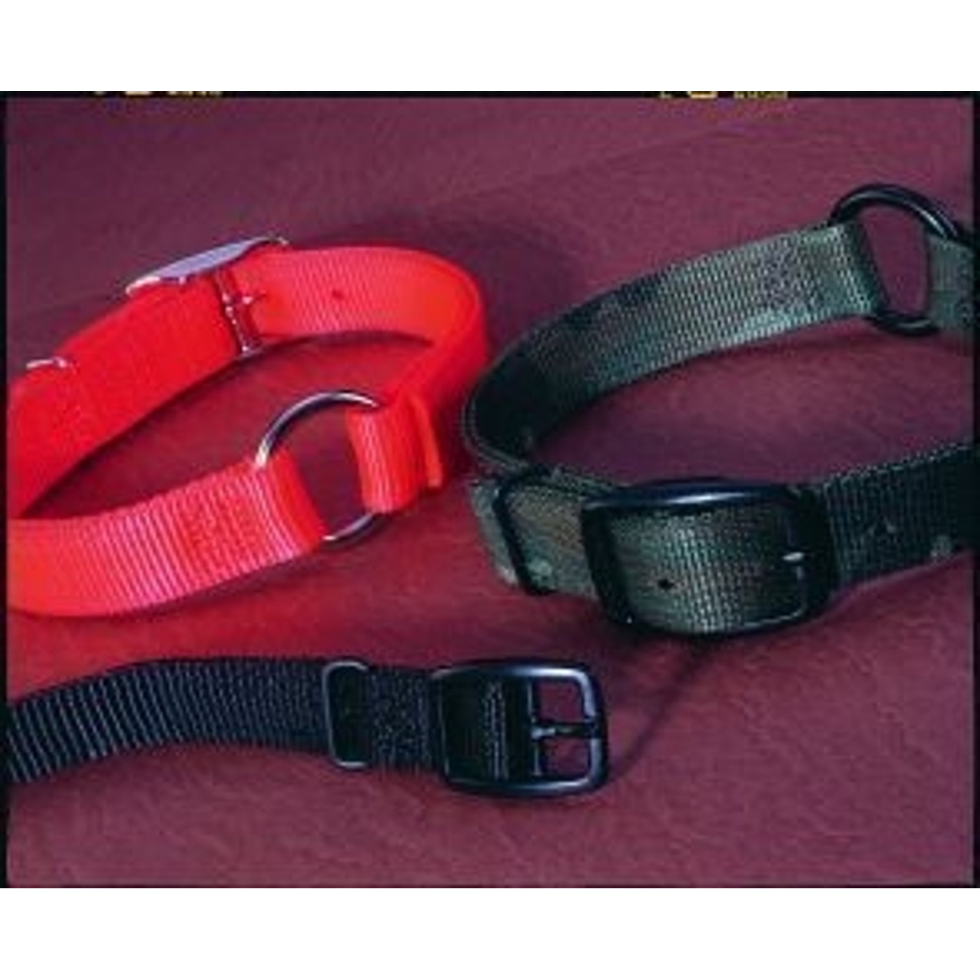 Safe-Rite Dog Collar With Tape 1 X20 Orange