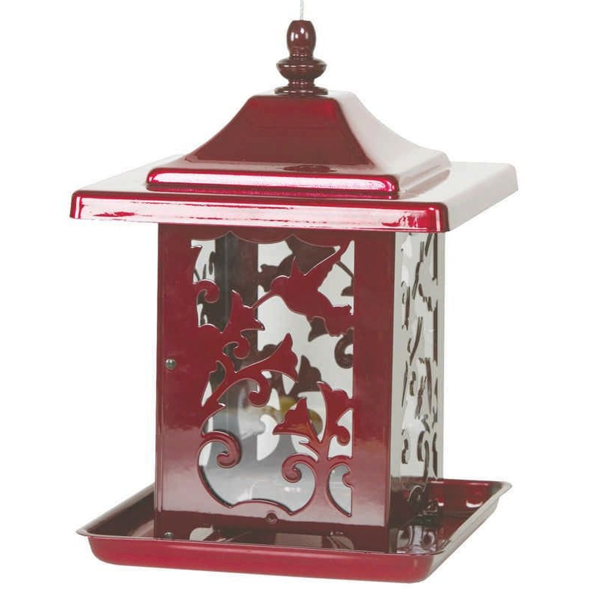 Hummingbird Seed Feeder Red