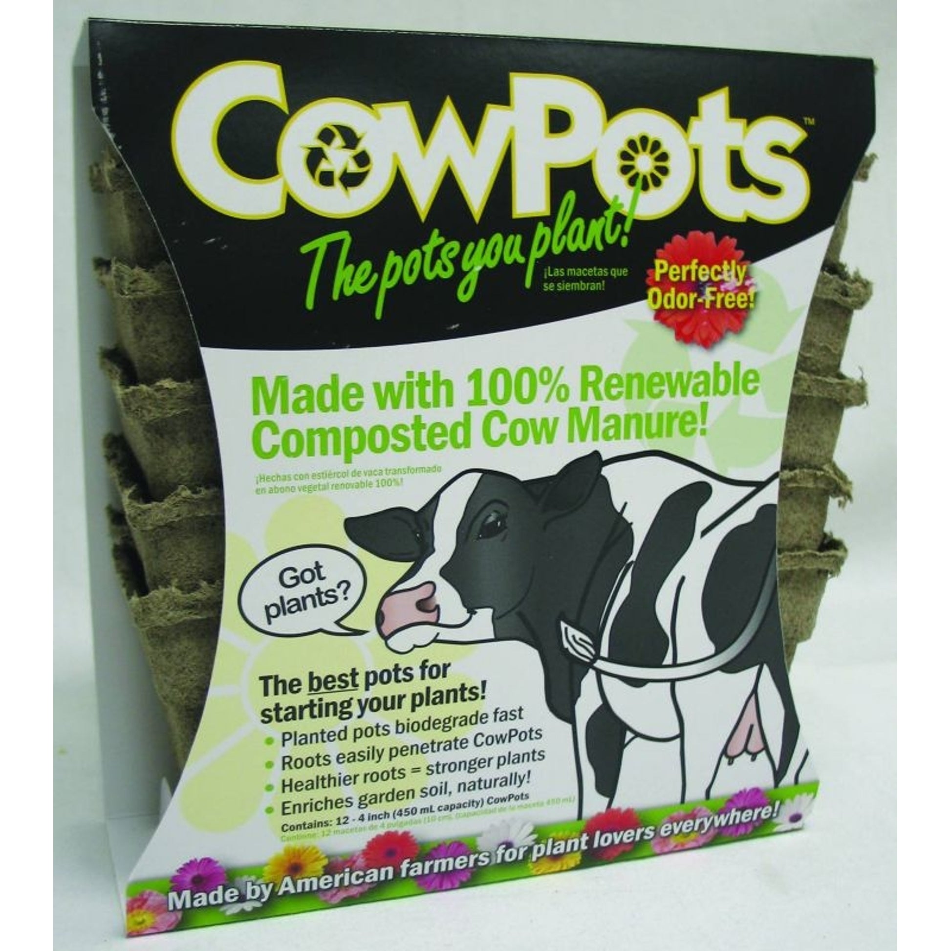 Cow Pots - 12 Pack 3 Inch Brown