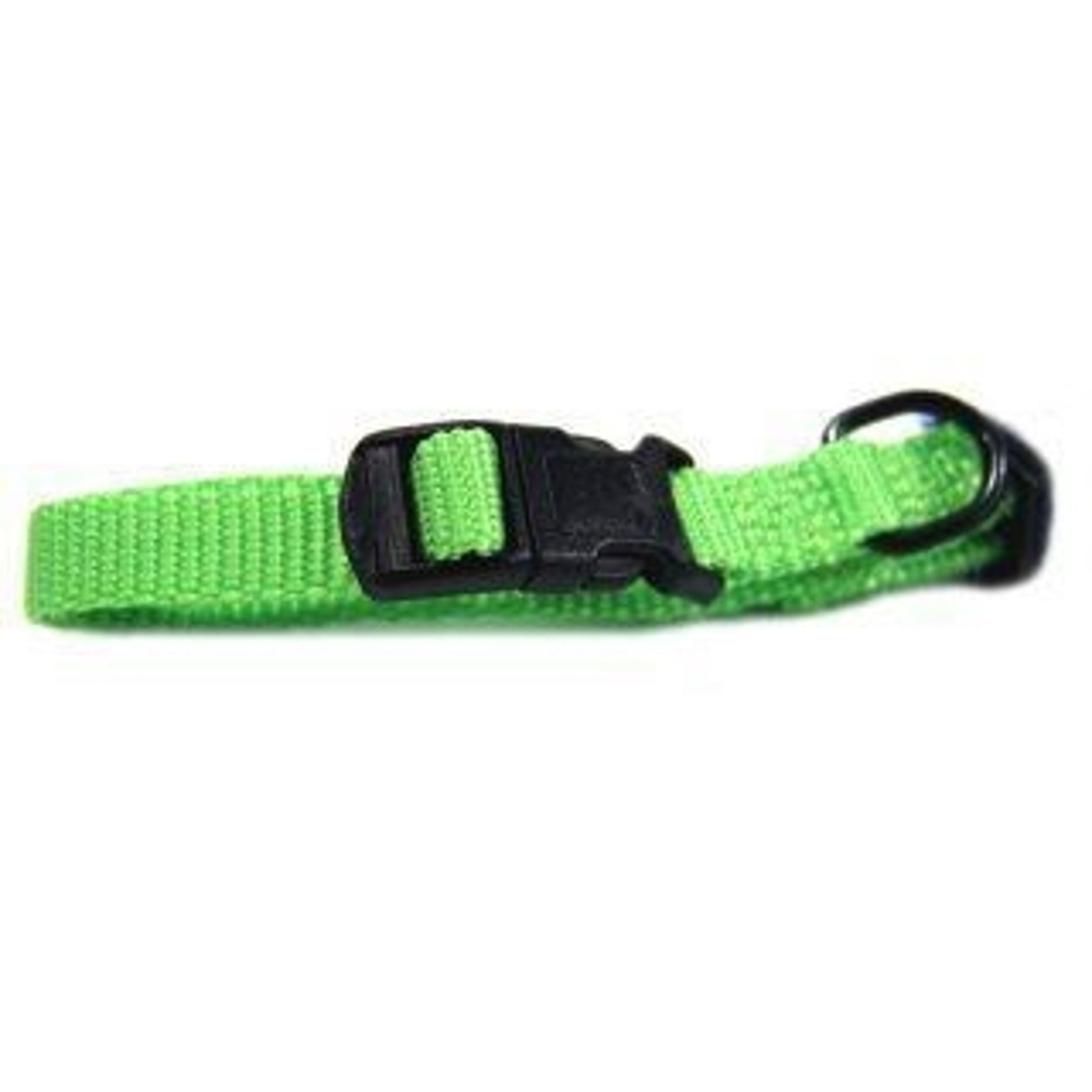 Hamilton Adjustable Dog Collar