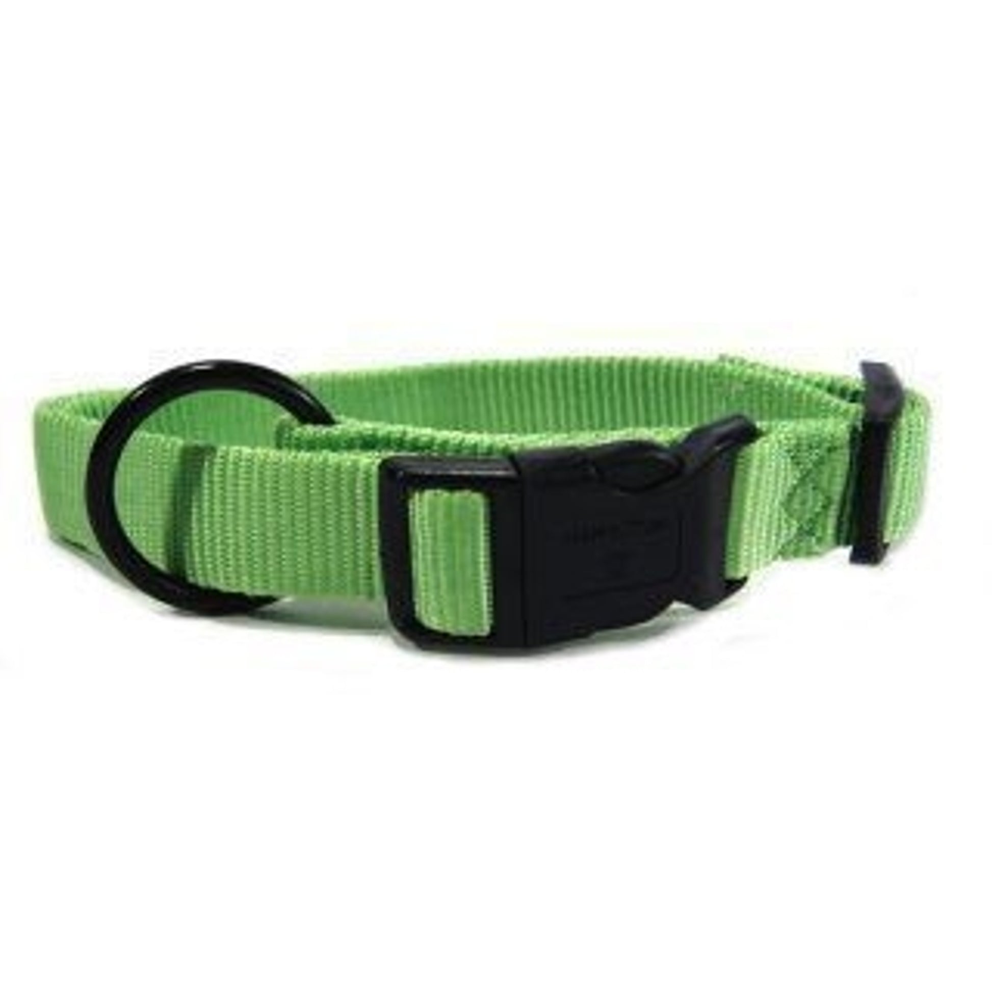 Hamilton Adjustable Dog Collar