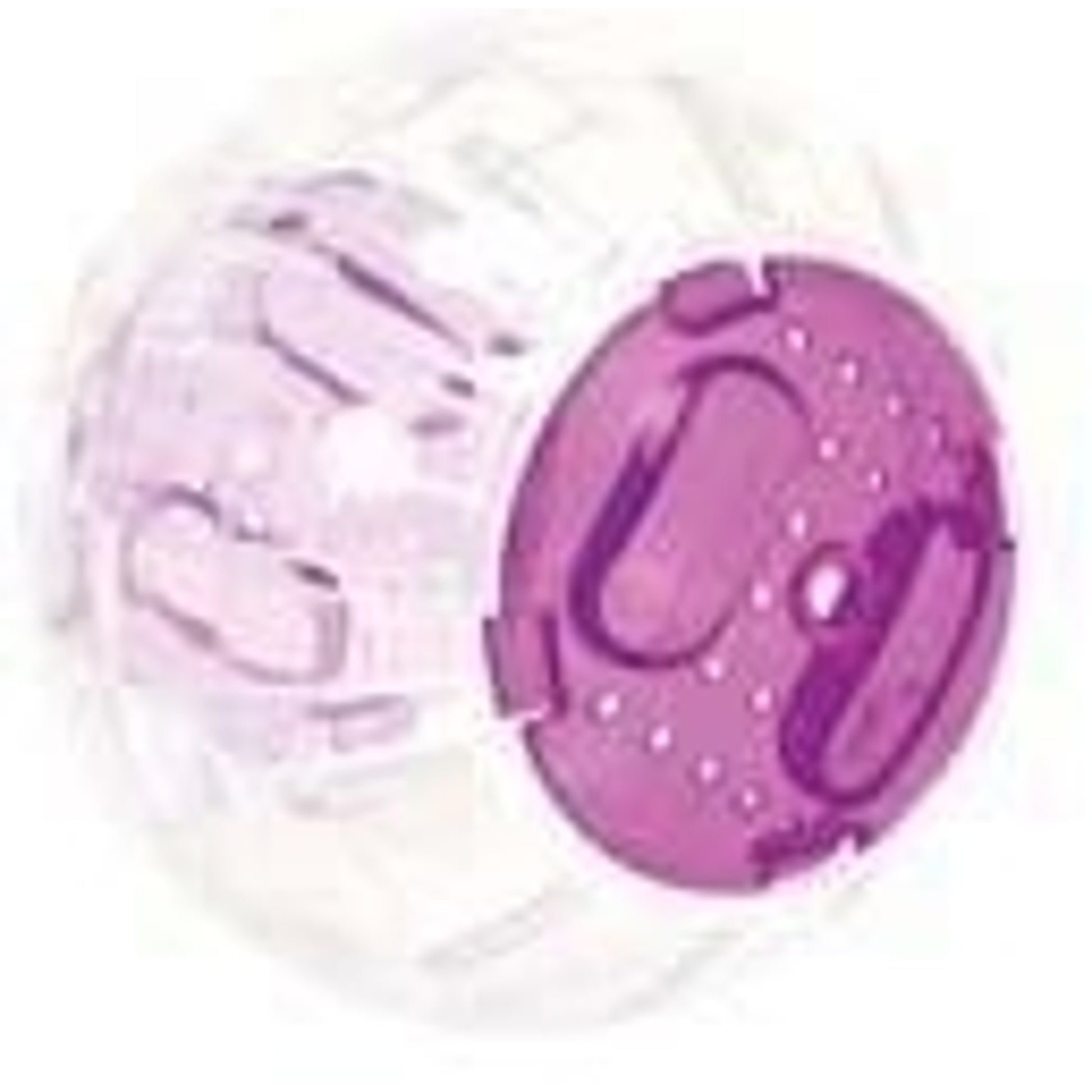 Roll-N-Around Small Animal Toy Mini
