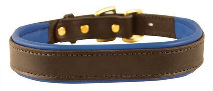 Perris Padded Leather Dog Collar