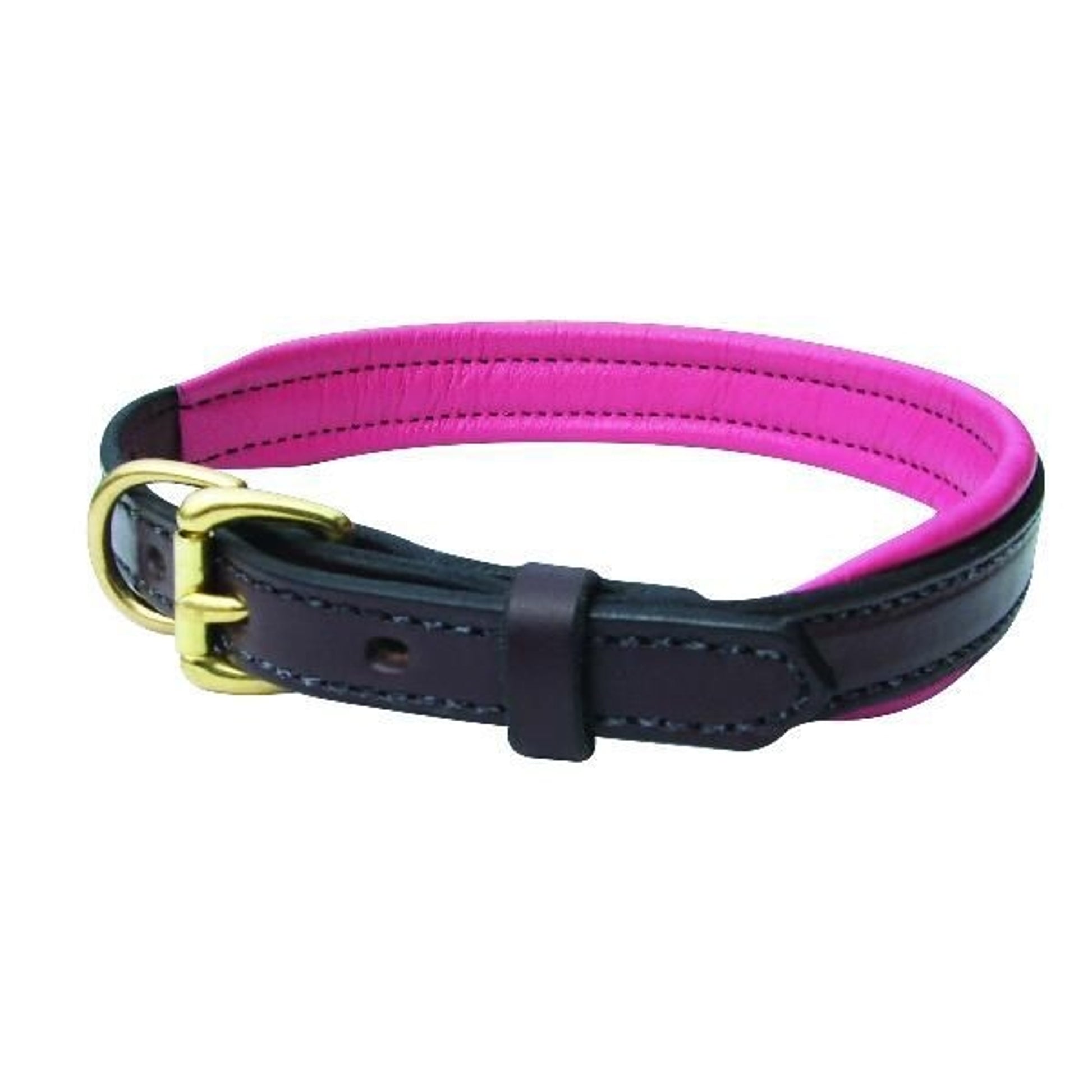 Perris Padded Leather Dog Collar