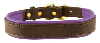 Perris Padded Leather Dog Collar