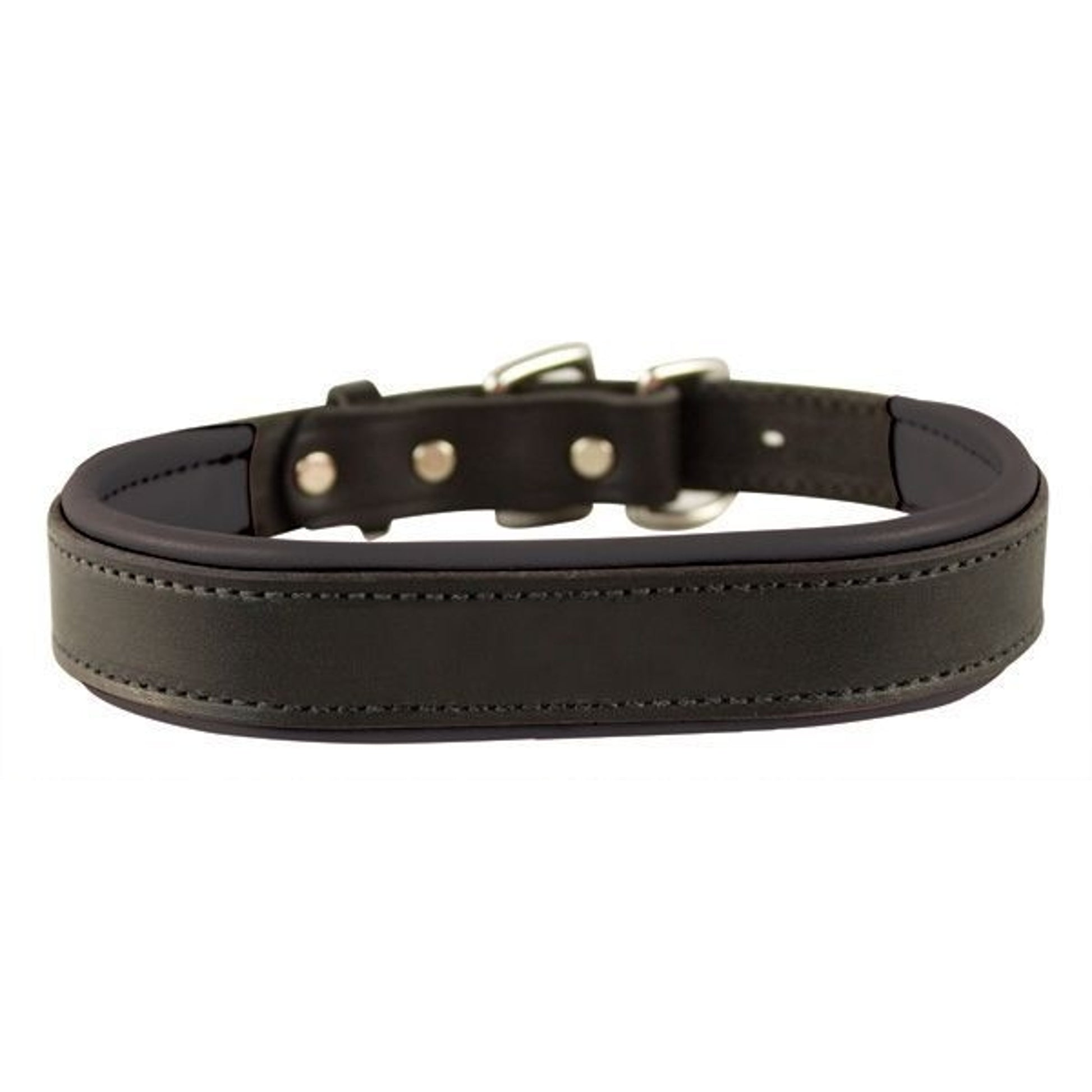 Perris Padded Leather Dog Collar