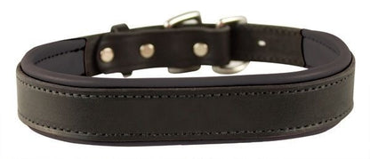 Perris Padded Leather Dog Collar