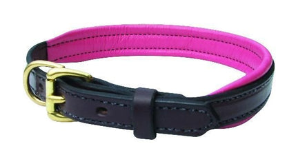 Perris Padded Leather Dog Collar