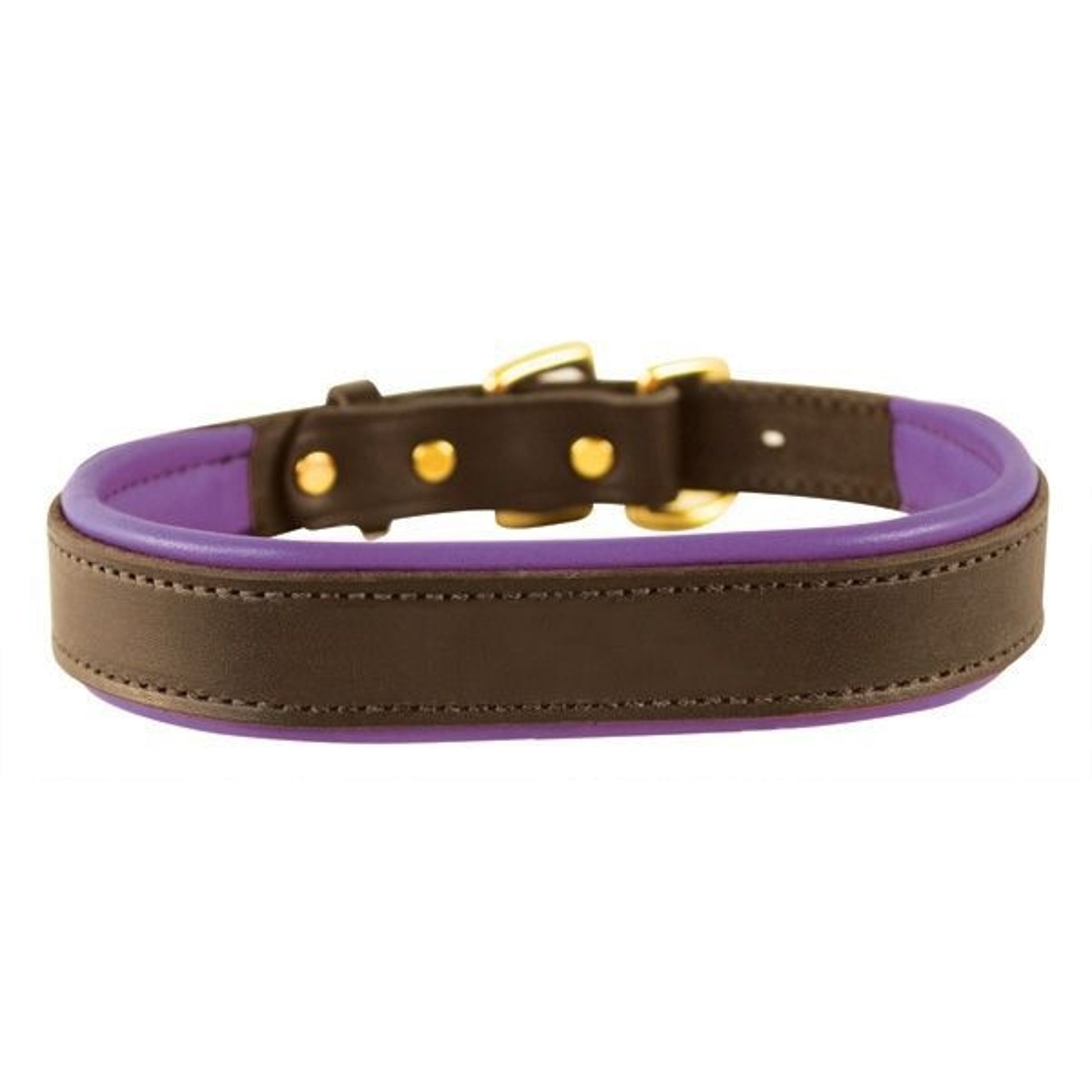 Perris Padded Leather Dog Collar