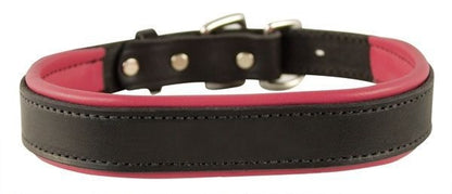 Perris Padded Leather Dog Collar