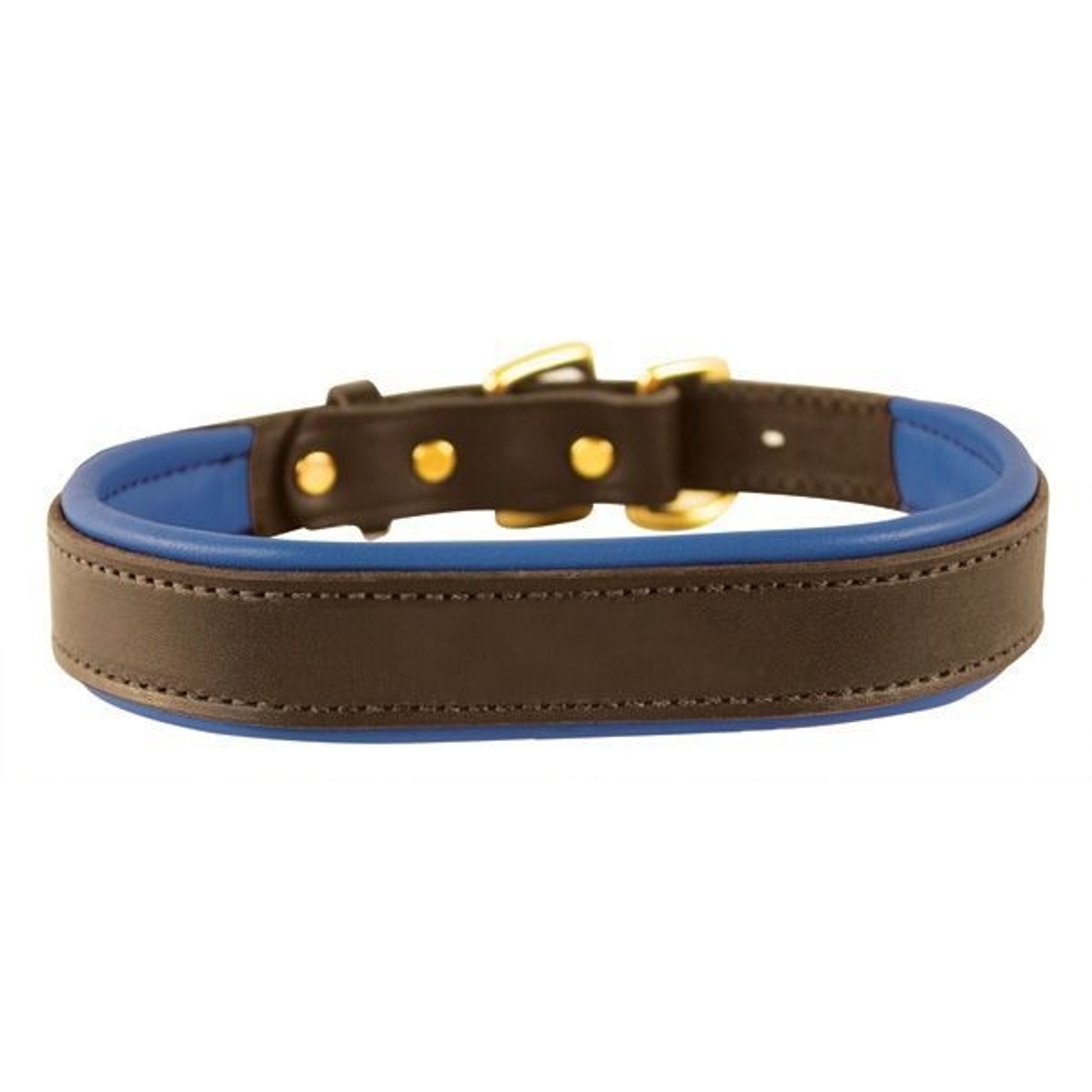 Perris Padded Leather Dog Collar