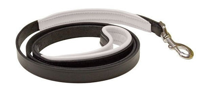 Perris Padded Leather Dog Leash