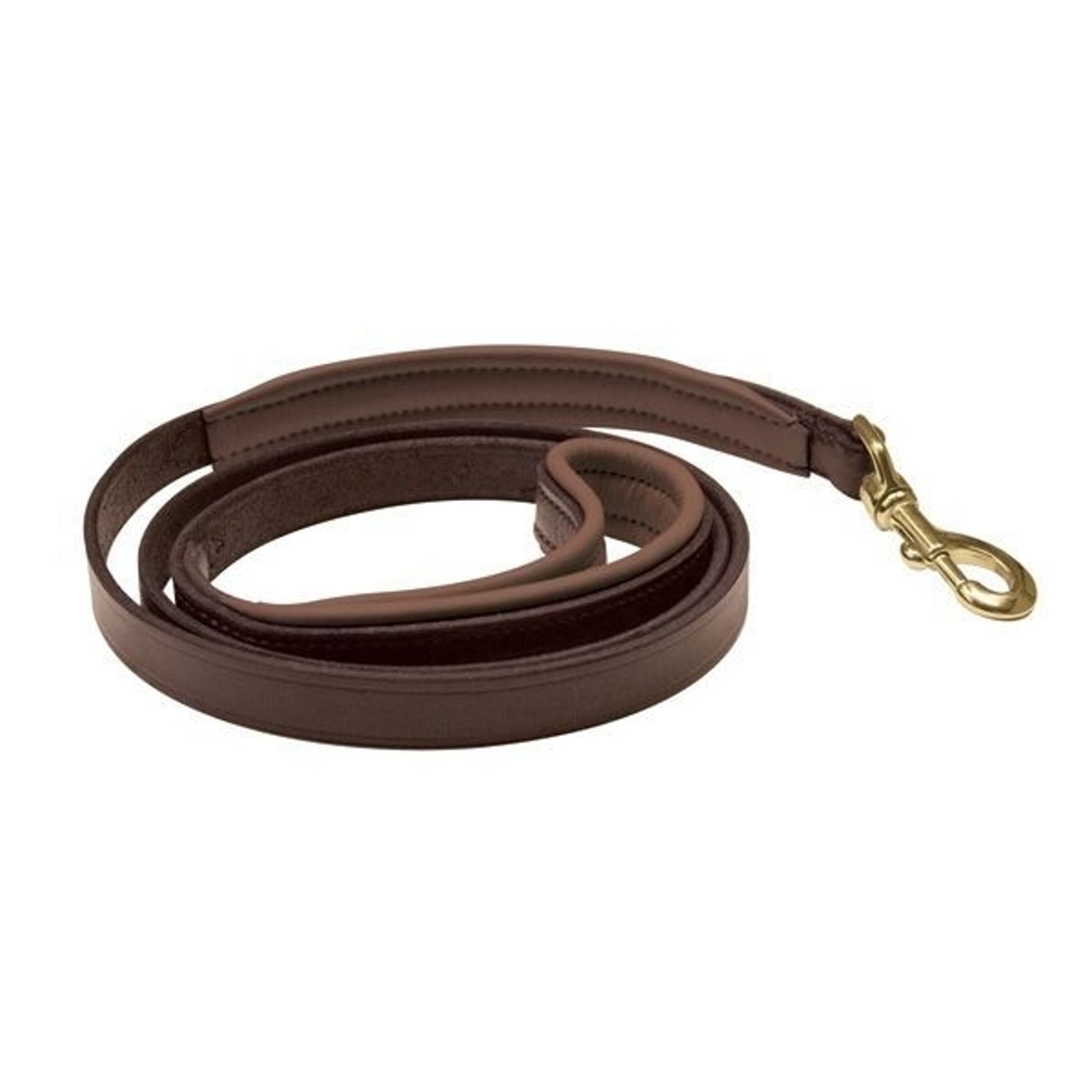 Perris Padded Leather Dog Leash