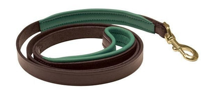 Perris Padded Leather Dog Leash