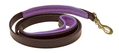 Perris Padded Leather Dog Leash