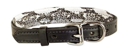 Perris Padded Leather Dog Collar