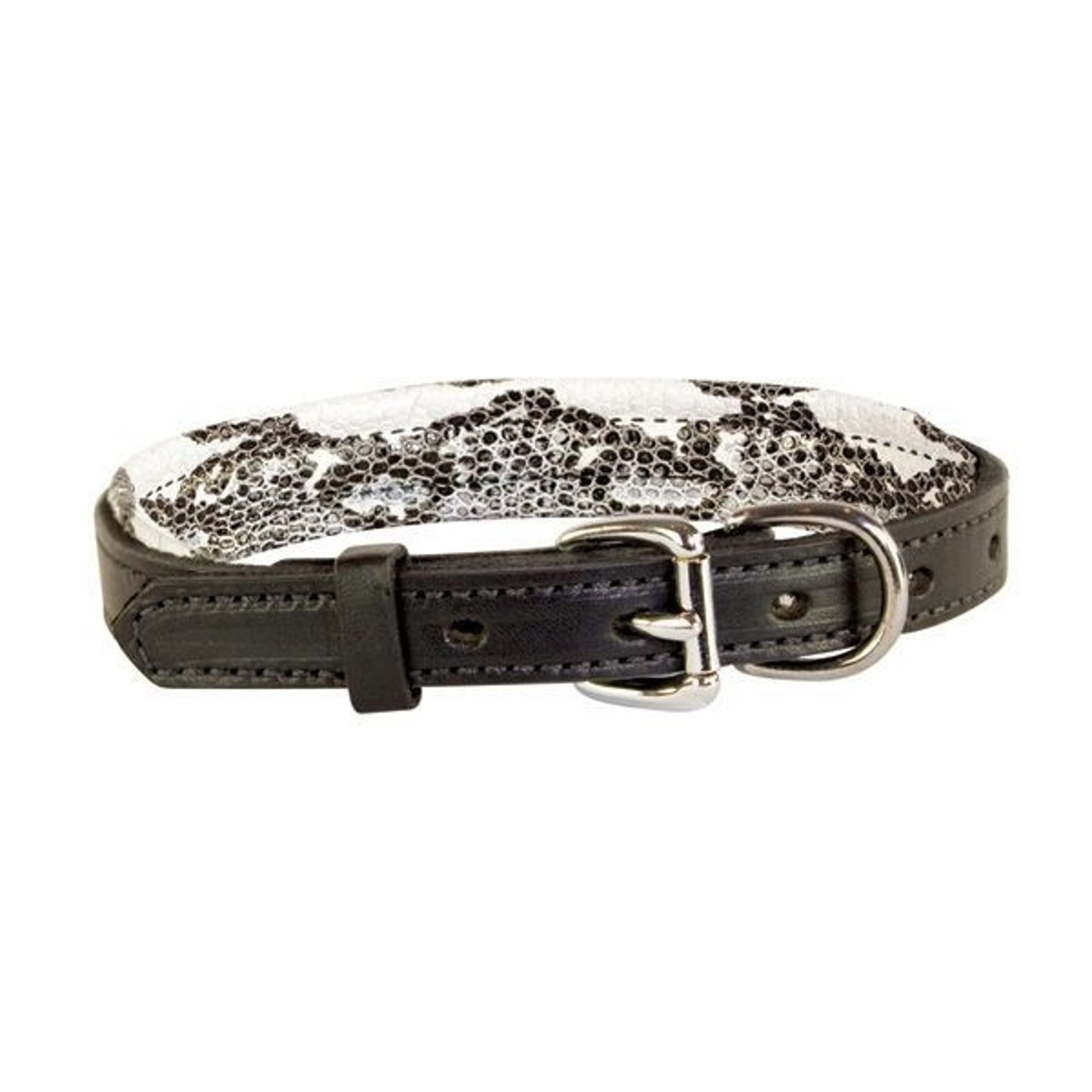 Perris Padded Leather Dog Collar