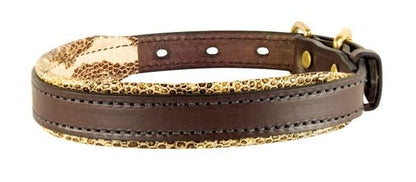 Perris Padded Leather Dog Collar