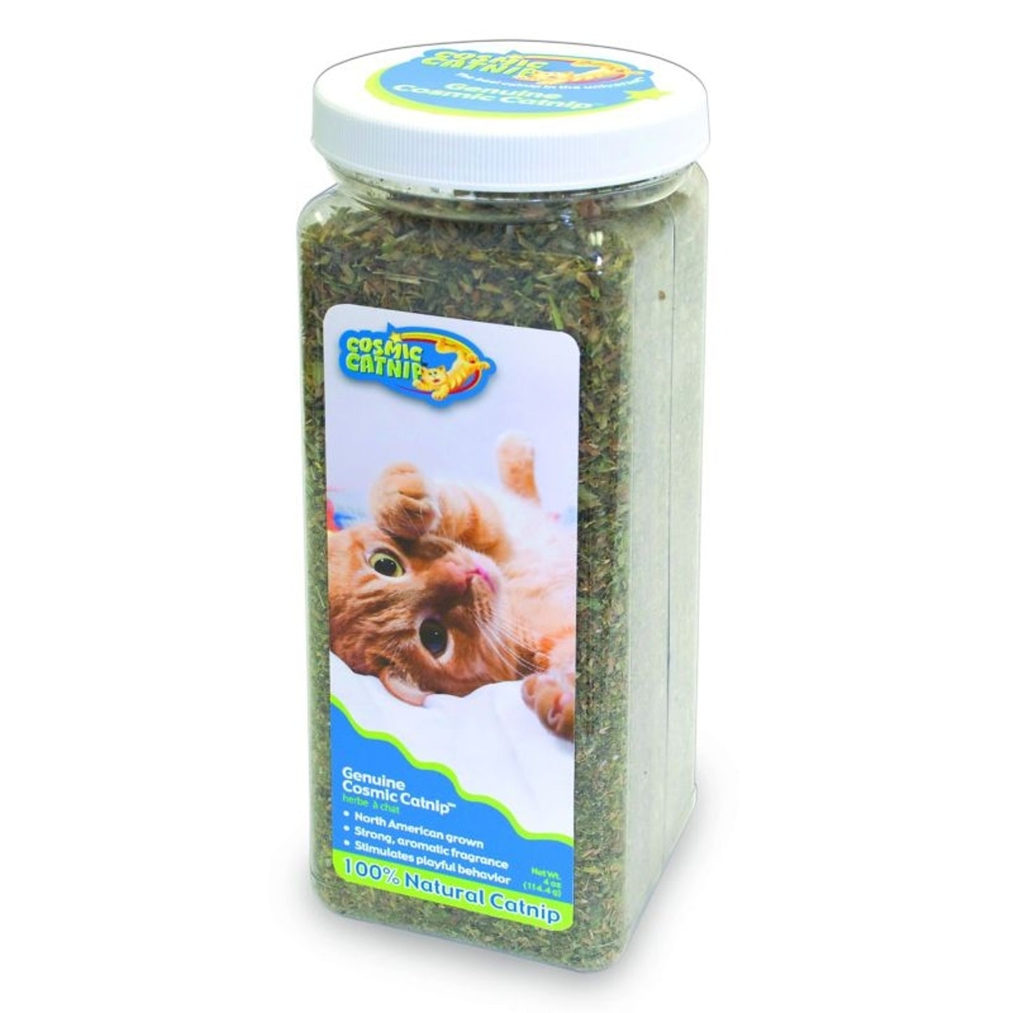 TH665071.jpg