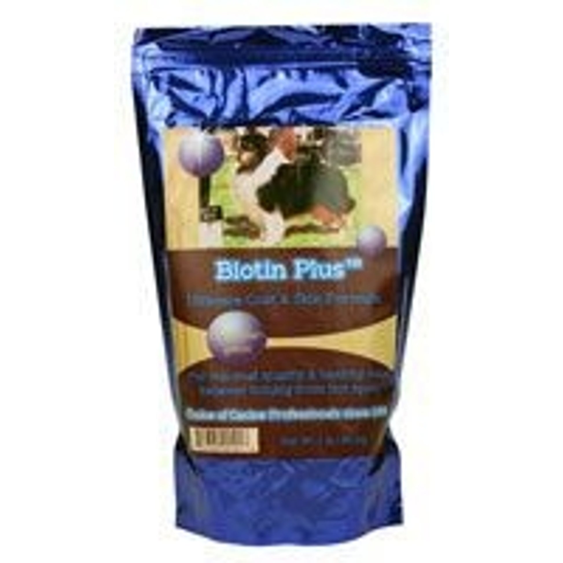 Brandenburg Biotin Plus Ultimate Coat/Skin 1lb