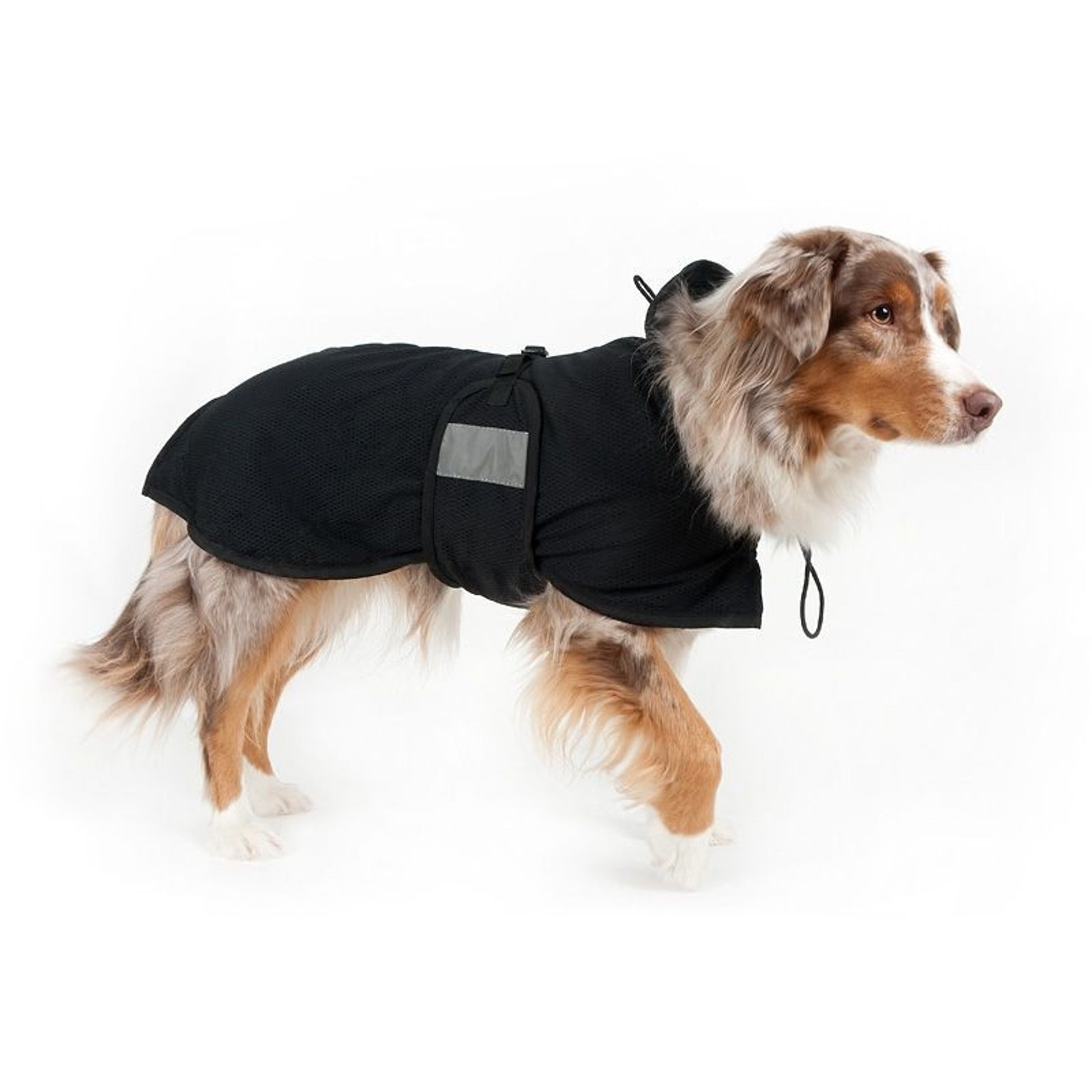 Back On Track Therapeutic Mesh Dog Coat