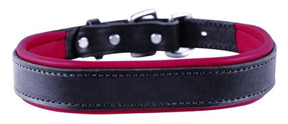 Perris Padded Leather Dog Collar