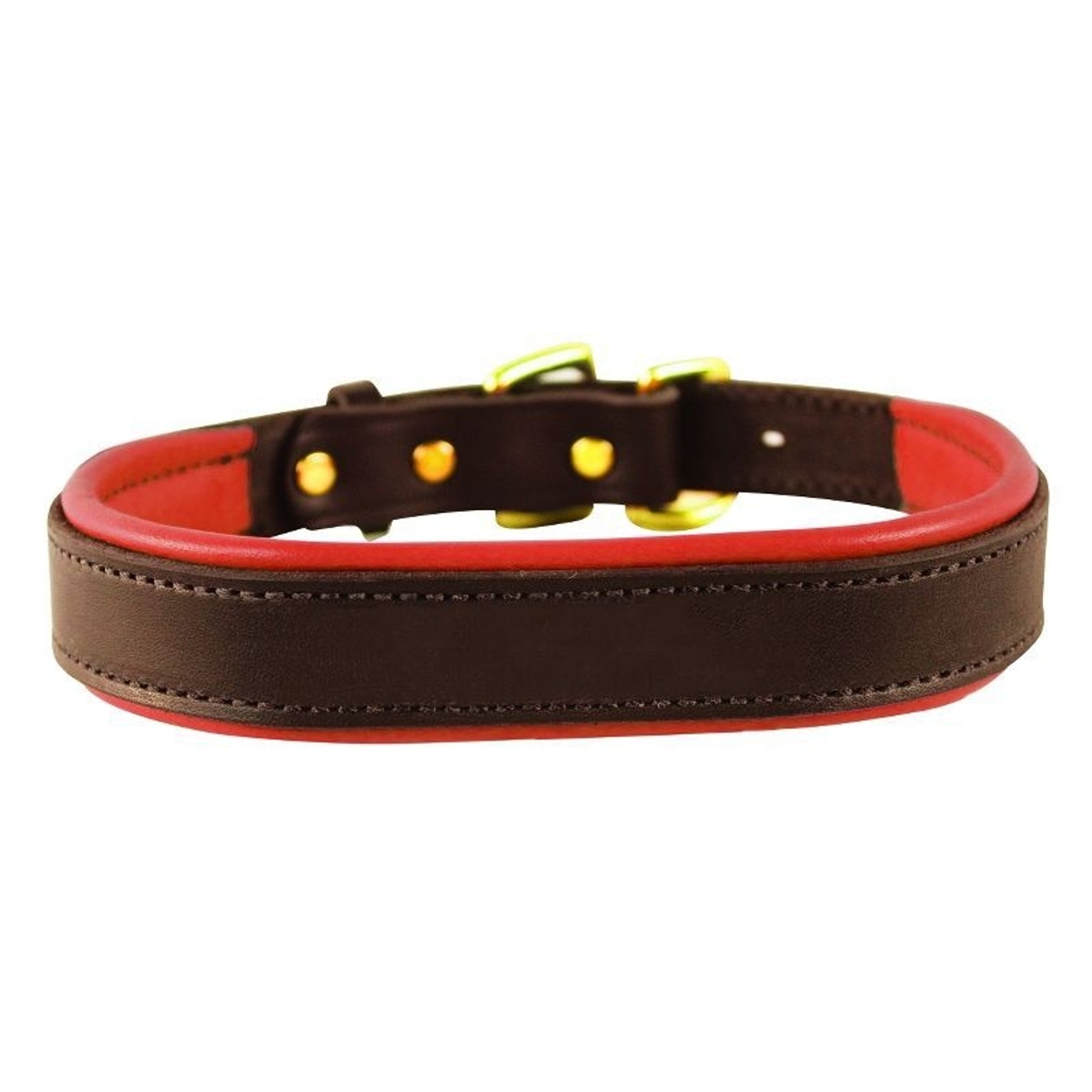 Perris Padded Leather Dog Collar