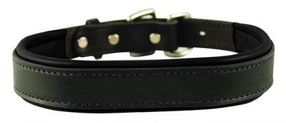 Perris Padded Leather Dog Collar