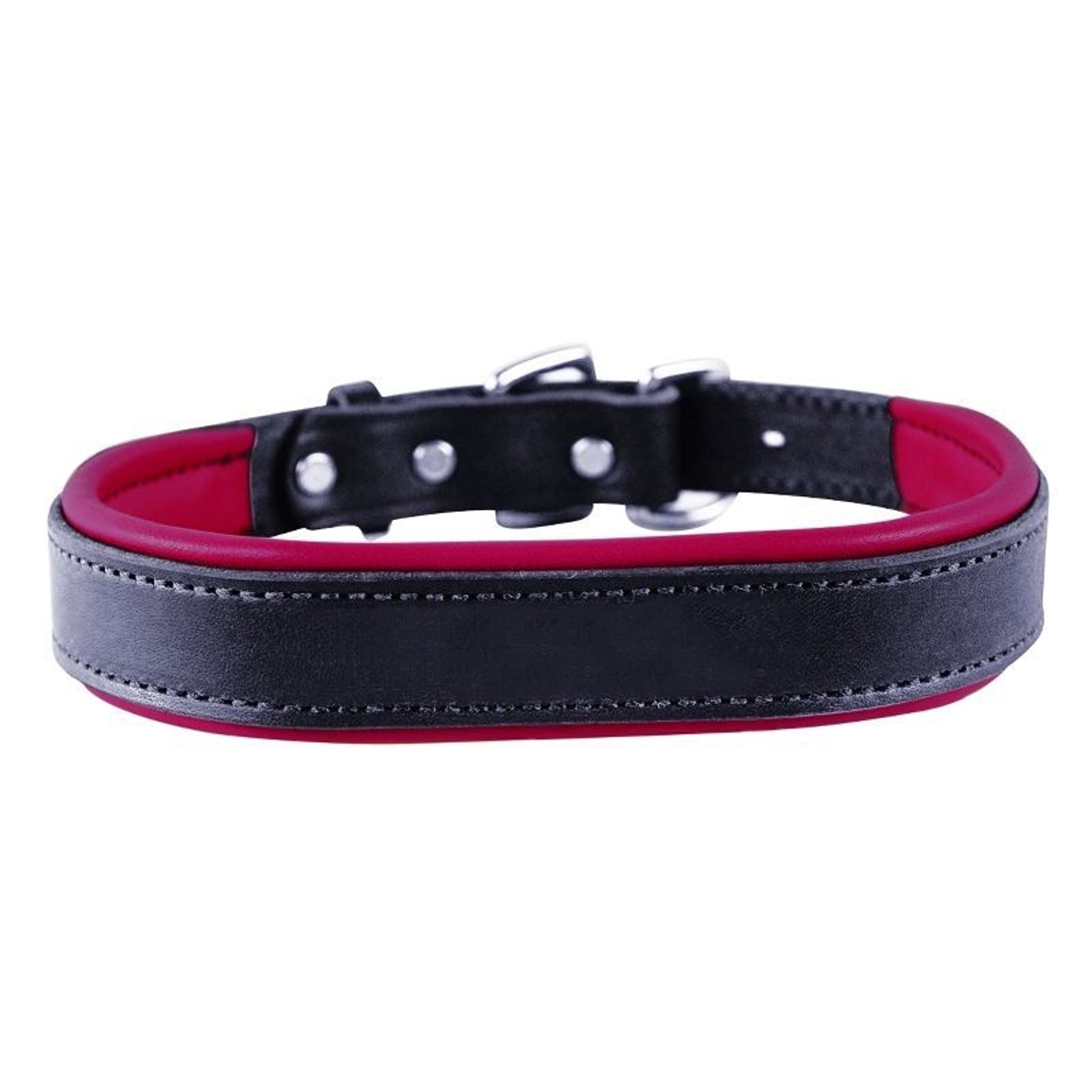 Perris Padded Leather Dog Collar