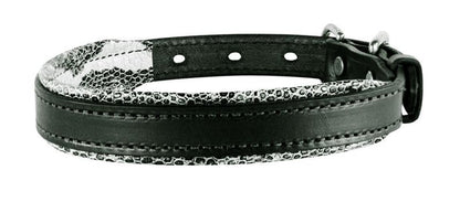 Perris Padded Leather Dog Collar