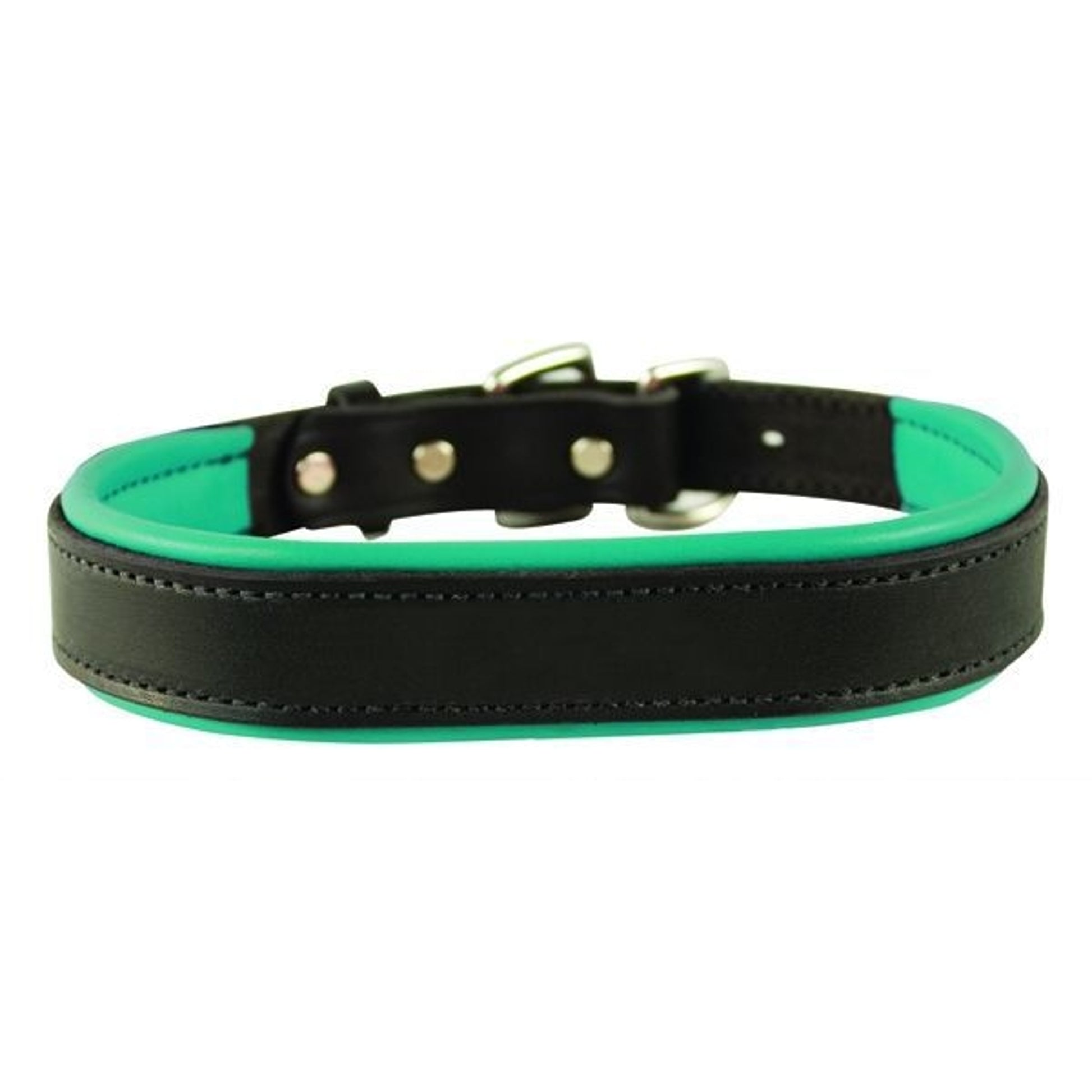 Perris Padded Leather Dog Collar