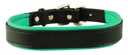 Perris Padded Leather Dog Collar