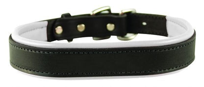 Perris Padded Leather Dog Collar