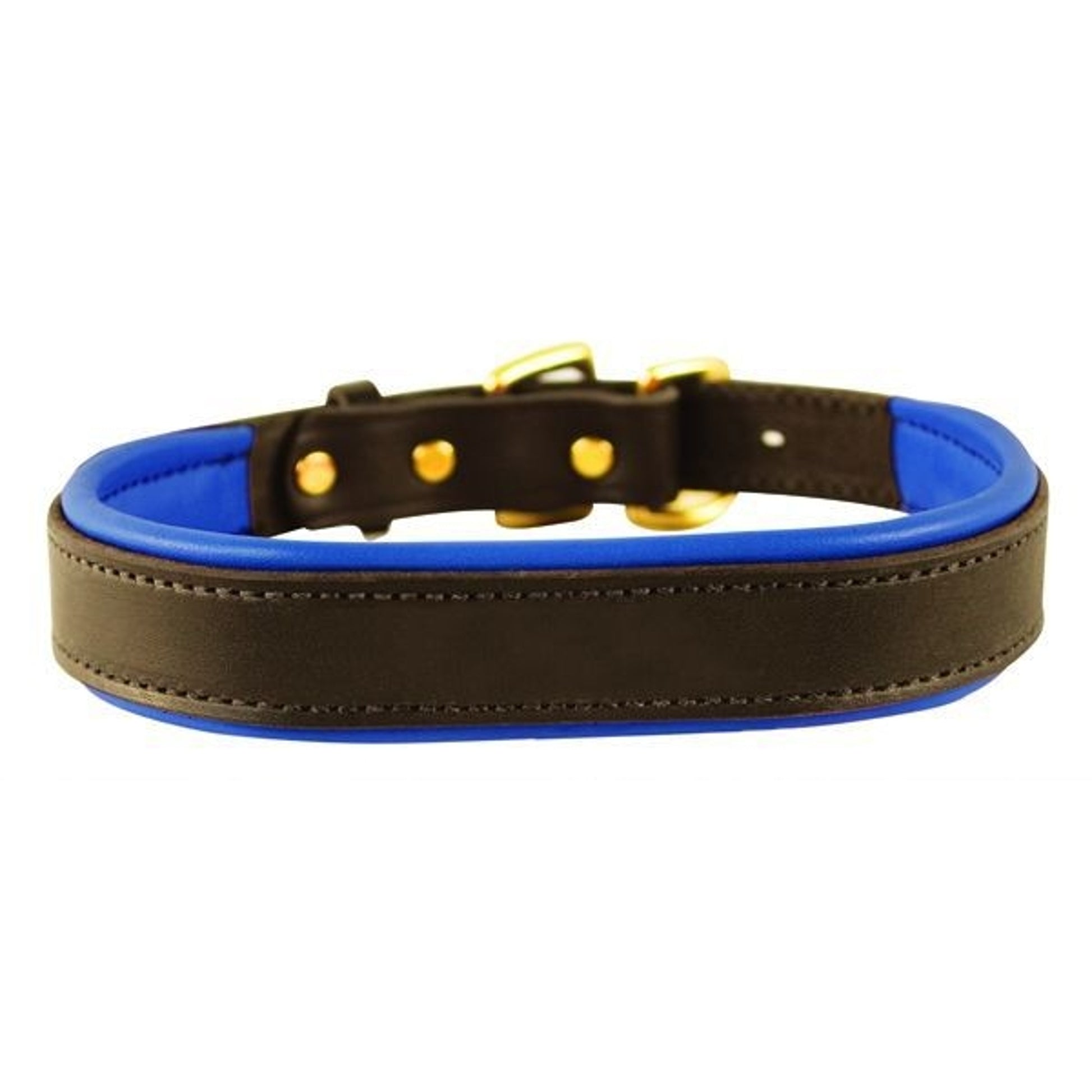 Perris Padded Leather Dog Collar