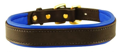 Perris Padded Leather Dog Collar