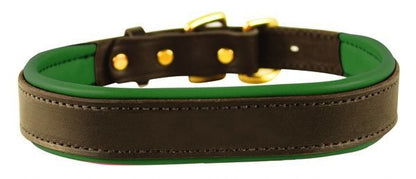 Perris Padded Leather Dog Collar