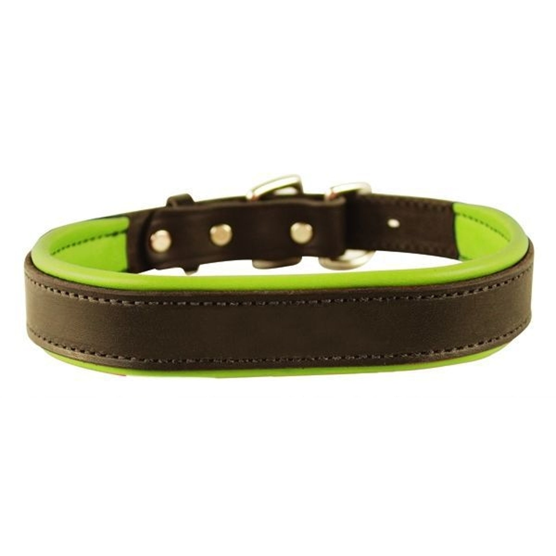 Perris Padded Leather Dog Collar