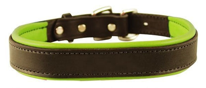 Perris Padded Leather Dog Collar