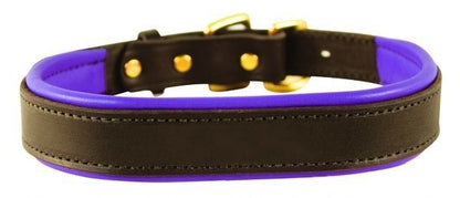 Perris Padded Leather Dog Collar