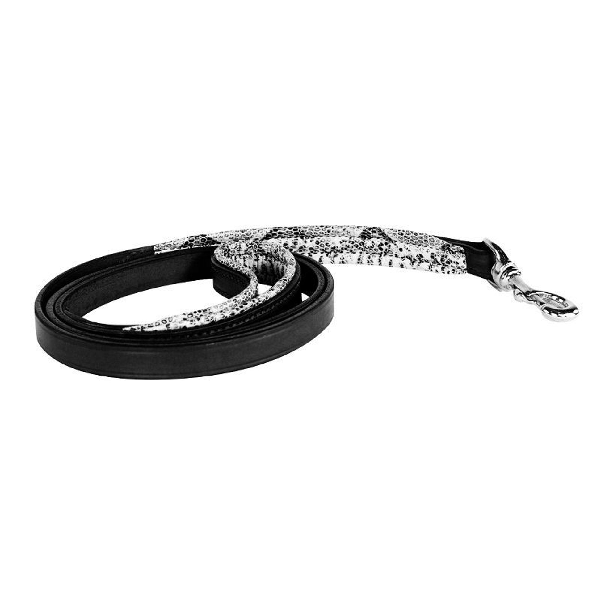 Perris Padded Leather Dog Leash