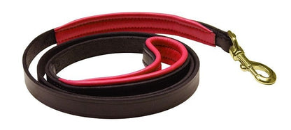 Perris Padded Leather Dog Leash