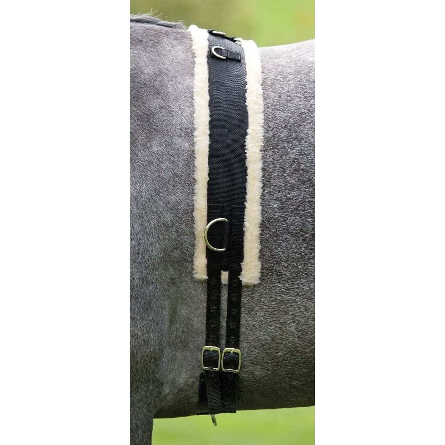 TH883653.jpg