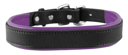 Perris Padded Leather Dog Collar