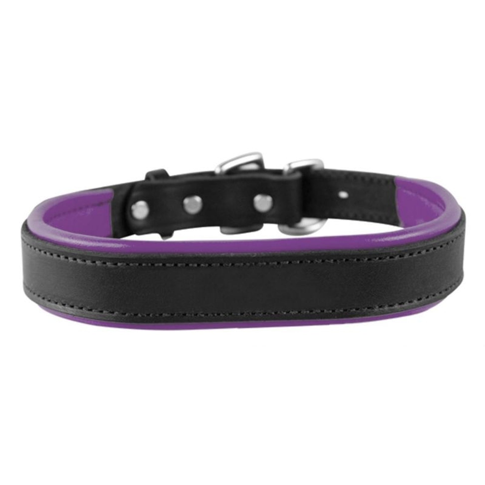 Perris Padded Leather Dog Collar