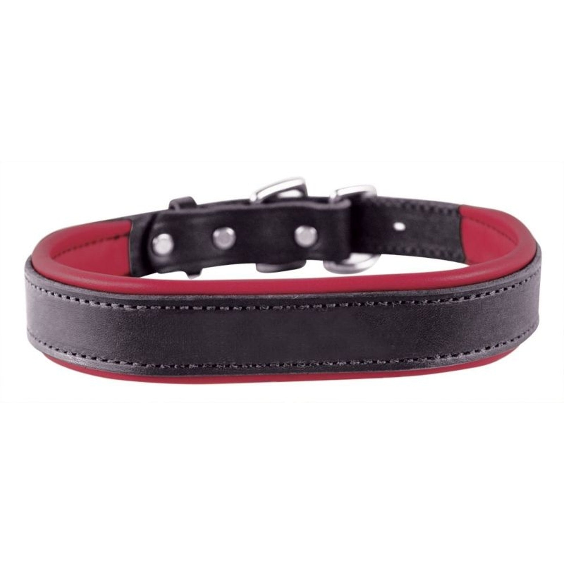 Perris Padded Leather Dog Collar