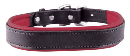 Perris Padded Leather Dog Collar
