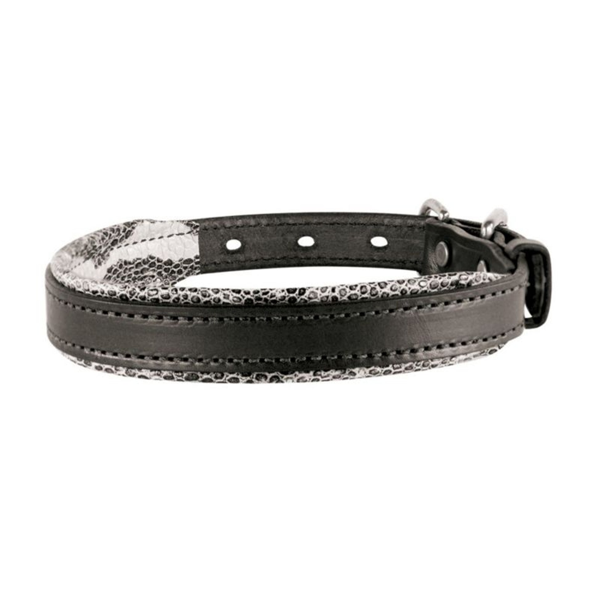 Perris Padded Leather Dog Collar