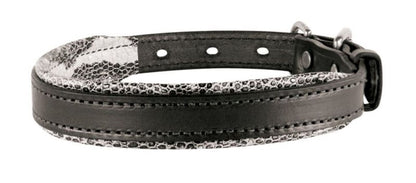 Perris Padded Leather Dog Collar