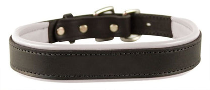 Perris Padded Leather Dog Collar
