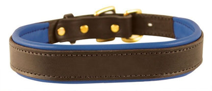 Perris Padded Leather Dog Collar